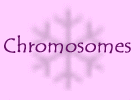 Chromosomes